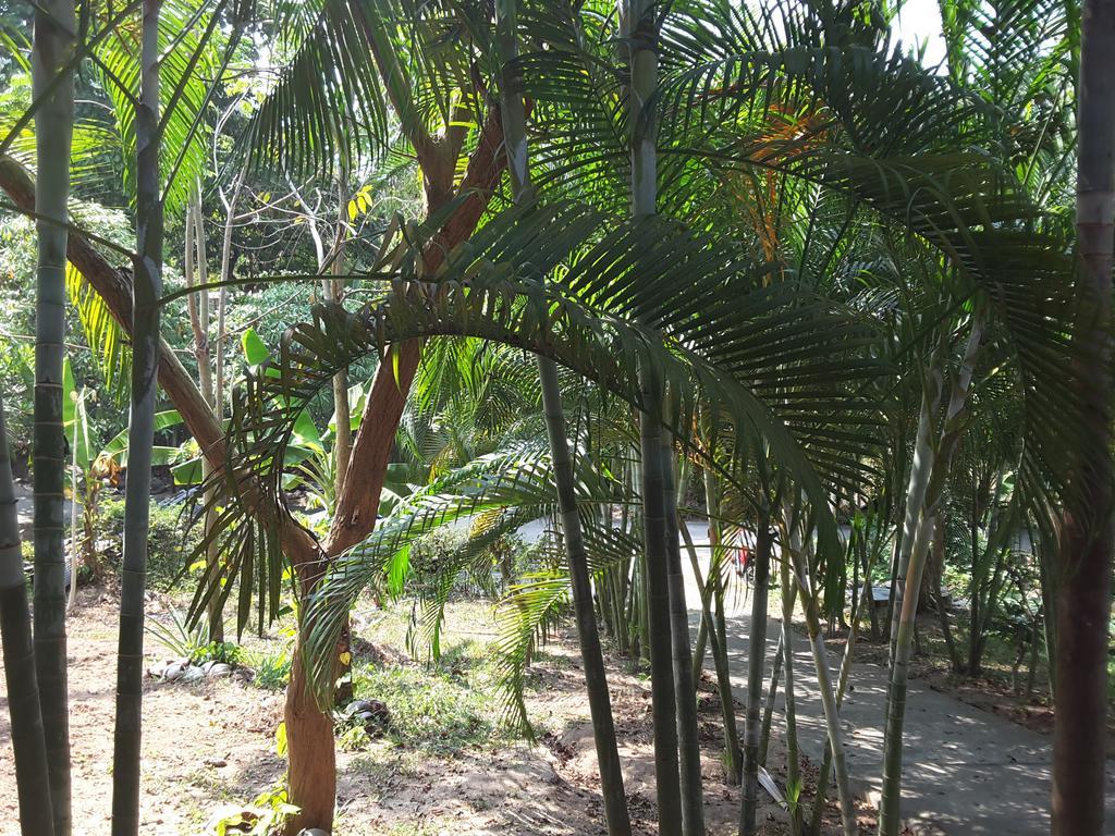 Wilai Villa Lamai Maret Ngoại thất bức ảnh