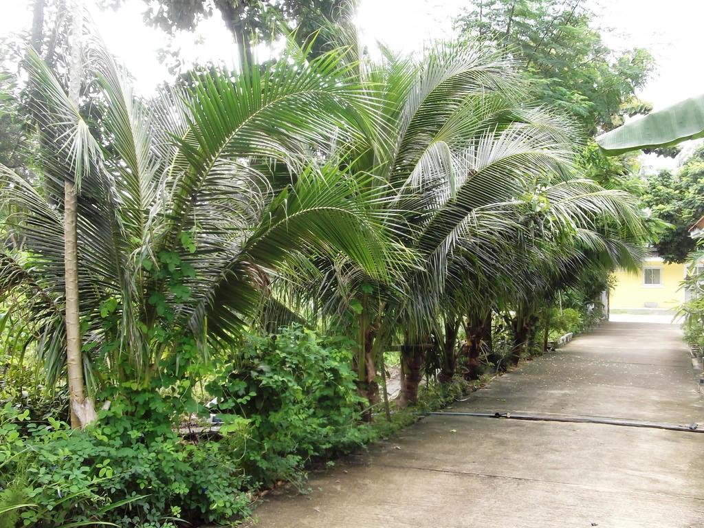 Wilai Villa Lamai Maret Phòng bức ảnh